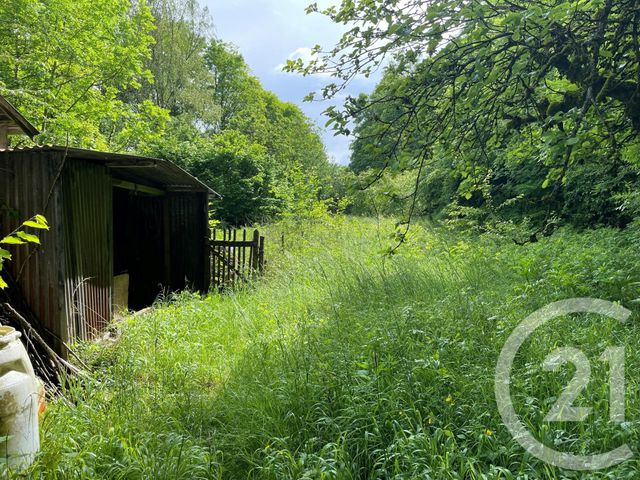 terrain à vendre - 10435.0 m2 - LONGWY - 54 - LORRAINE - Century 21 Duthoy Immobilier