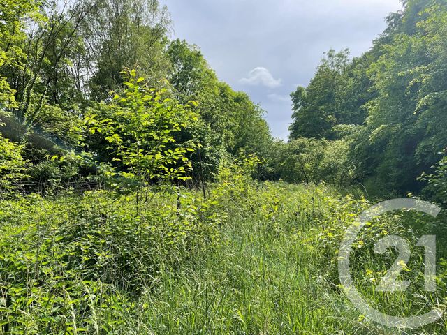 terrain à vendre - 10435.0 m2 - LONGWY - 54 - LORRAINE - Century 21 Duthoy Immobilier