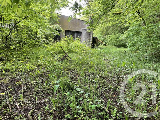 terrain à vendre - 10435.0 m2 - LONGWY - 54 - LORRAINE - Century 21 Duthoy Immobilier