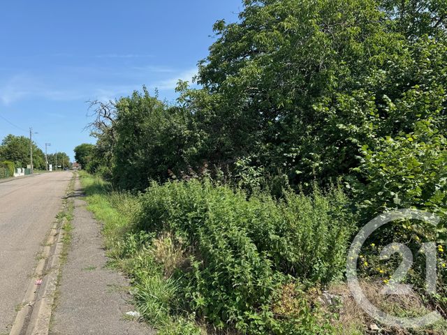 terrain à vendre - 2263.0 m2 - BOULIGNY - 55 - LORRAINE - Century 21 Duthoy Immobilier