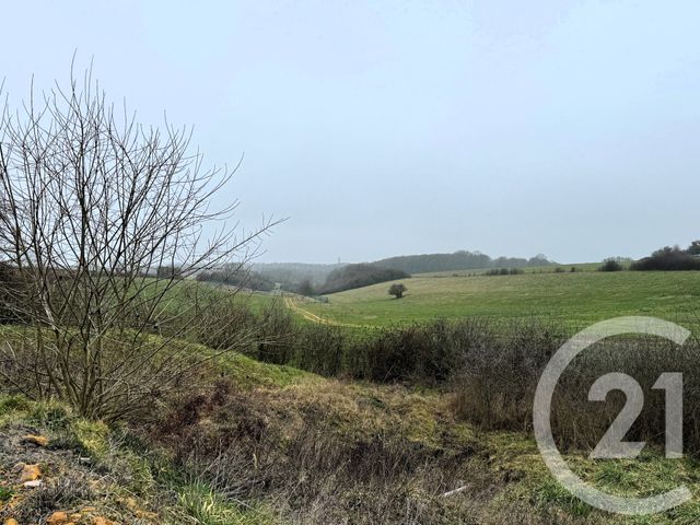 maison à vendre - 5 pièces - 166.79 m2 - ST AIL - 54 - LORRAINE - Century 21 Duthoy Immobilier