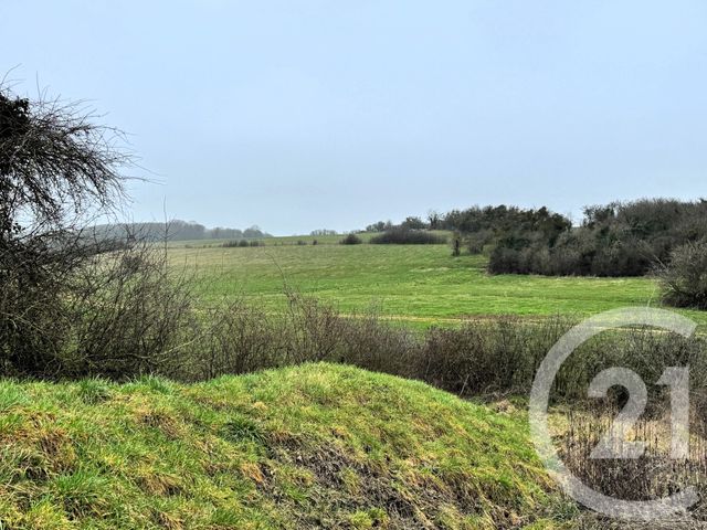 maison à vendre - 5 pièces - 166.79 m2 - ST AIL - 54 - LORRAINE - Century 21 Duthoy Immobilier